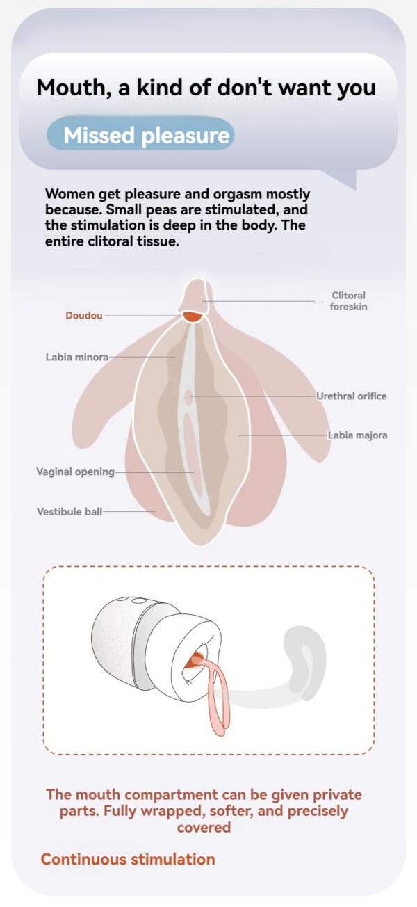 Anatomical illustration of female pleasure, highlighting clitoral stimulation for enhanced sexual wellness.