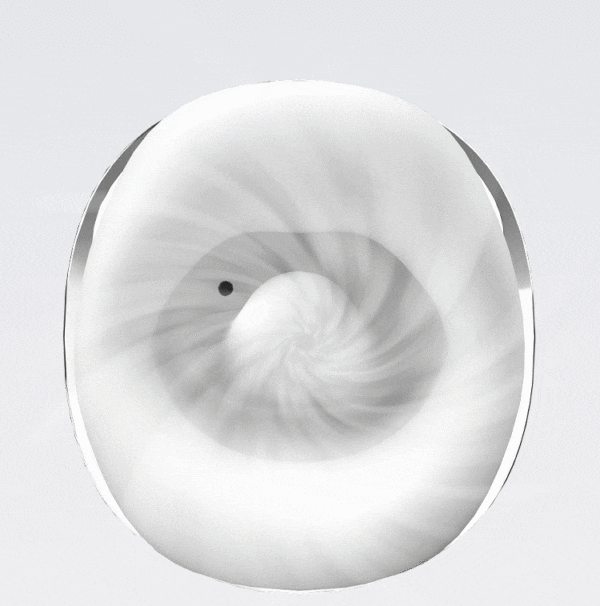 Elegant spiral design with a glossy, abstract aesthetic for sensual experiences.