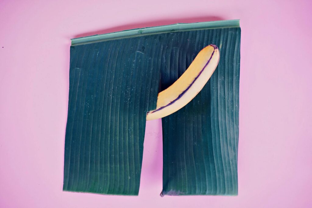 Creative conceptual image of a banana emerging from a banana leaf against a pink background.