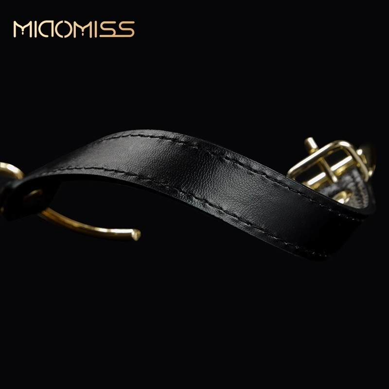 Elegant black leather strap with a luxurious golden buckle for stylish accessories.